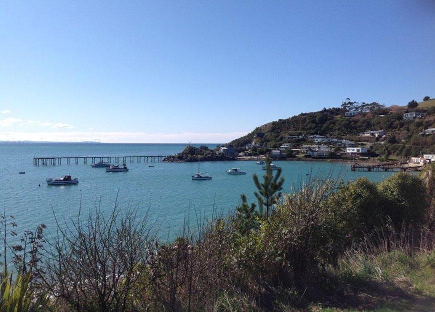 Noah'S Boutique Accommodation Moeraki Exterior foto